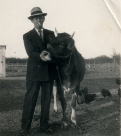 William Newton Jenkins with cow